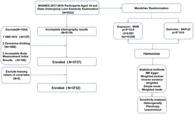 Waist-to-hip ratio and nonalcoholic fatty liver disease: a clinical observational and Mendelian randomization analysis